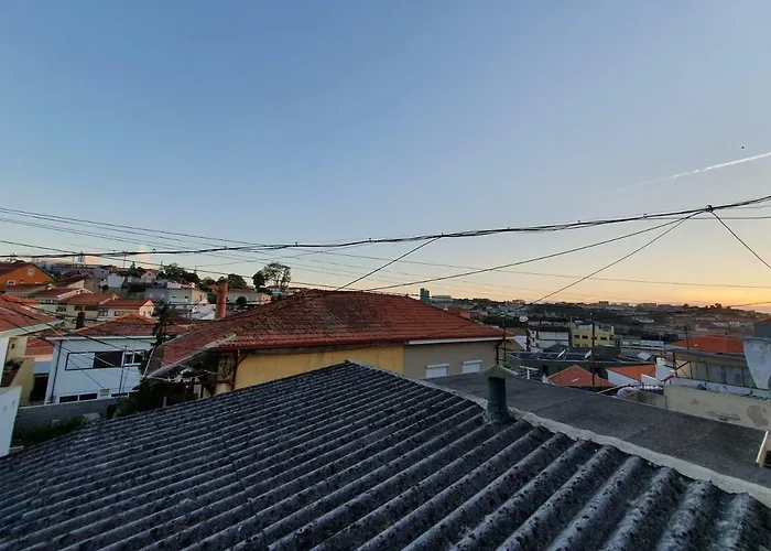 Ninho Jardim Do Morro